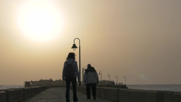 日落时的码头景观 — 图库视频影像