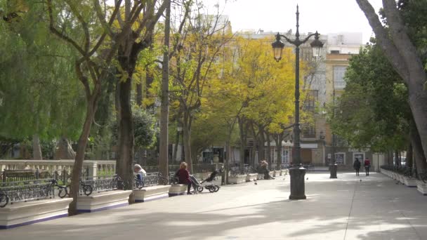 Folk Bänkar Park — Stockvideo