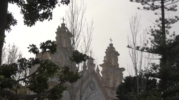 树梢通过树枝看到的教堂顶部 — 图库视频影像