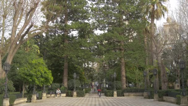 Beco Parque Com Árvores Verdes — Vídeo de Stock