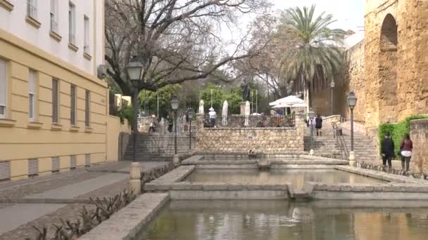 Estanques Frente Estatua Seneca — Vídeos de Stock