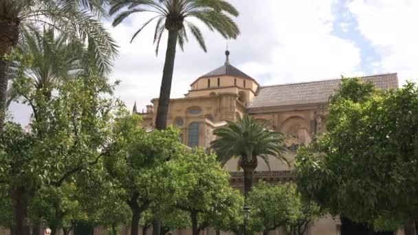 Moschea Cattedrale Vista Dietro Gli Alberi — Video Stock