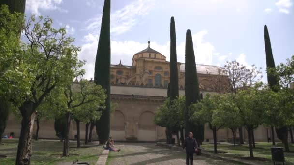 Mesquita Catedral Vista Corte Laranjas — Vídeo de Stock