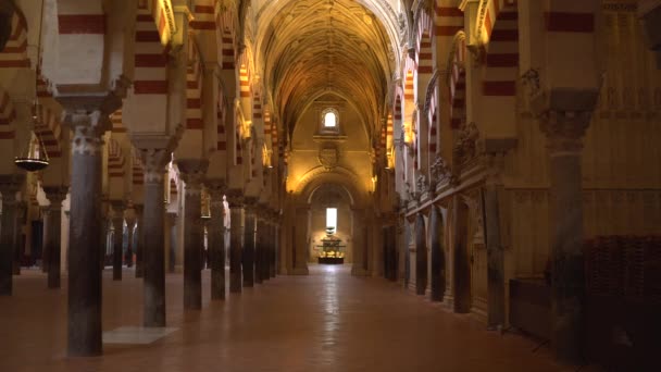 Interior Masjid Agung Video — Stok Video