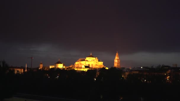 Grande Moschea Illuminata Notte — Video Stock