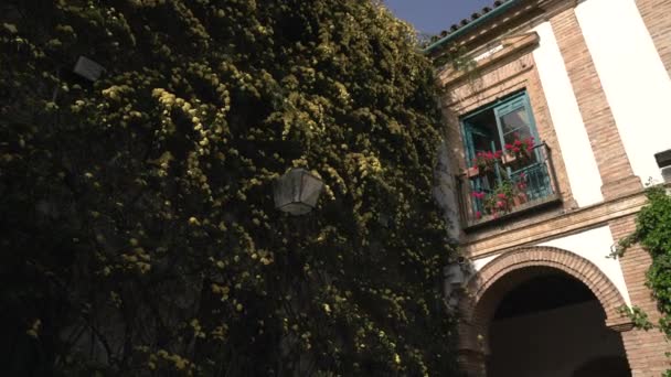 Vue Bâtiment Avec Des Fleurs — Video