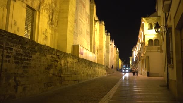 Vista Calle Magistral Gonzlez Francs Por Noche — Vídeo de stock