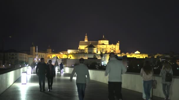 Прогулка Римскому Мосту Ночью — стоковое видео