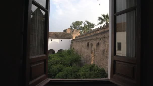 Mudejar Courtyard Alcazar — Stock Video