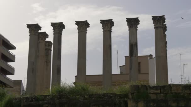 Ruínas Templo Romano Córdoba — Vídeo de Stock