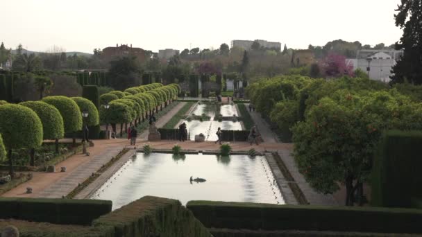 Giardini Dell Alcazar Concetto Viaggio — Video Stock