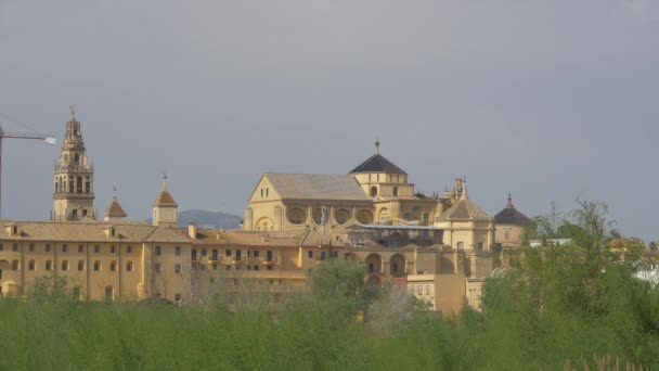 Mezquita Catedral Und Andere Gebäude — Stockvideo