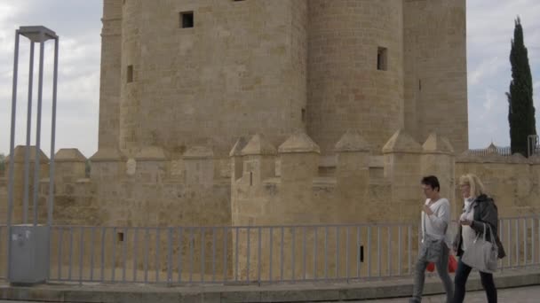 Tilt Calahorra Tower — Stock Video