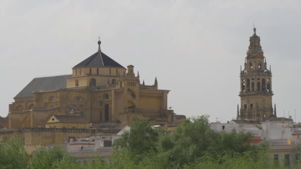 Great Mosque Crdoba Spain — Wideo stockowe