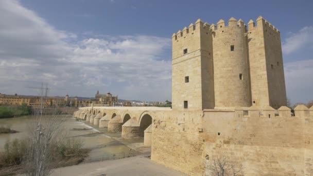 Tower End Roman Bridge — Vídeo de stock