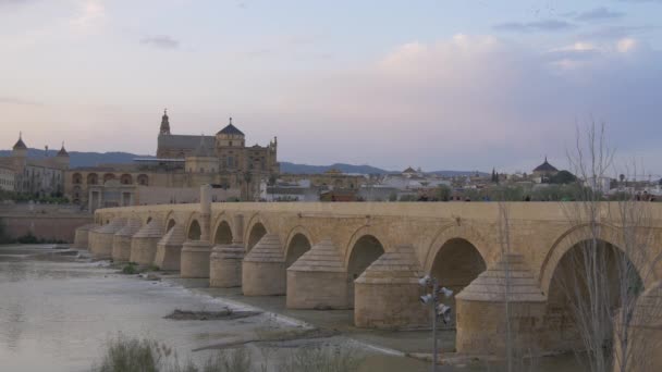Римский Мост Mezquita Заднем Плане — стоковое видео