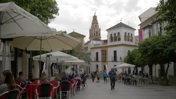 Plaza Agrupacin Cofradas Cordoba Spain — стокове відео