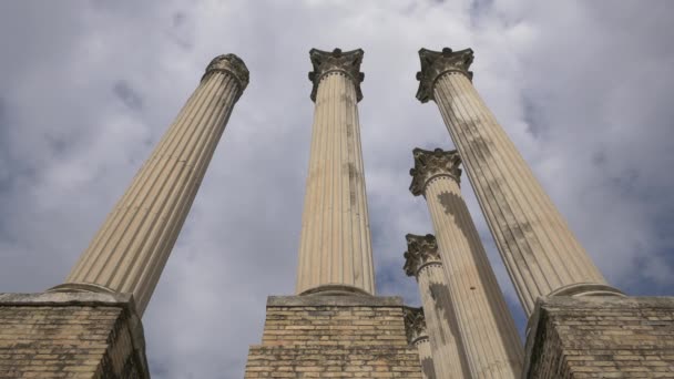 Vue Angle Bas Des Colonnes — Video