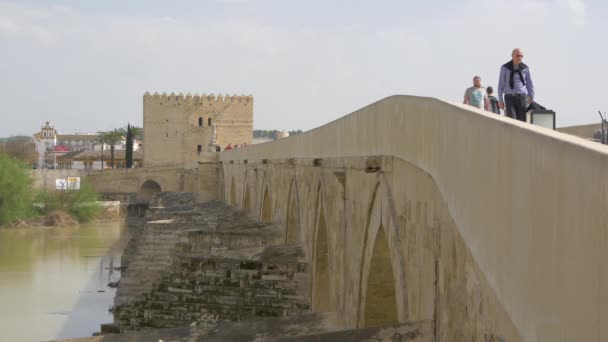 Calahorra Tower Roman Bridge — Vídeo de stock
