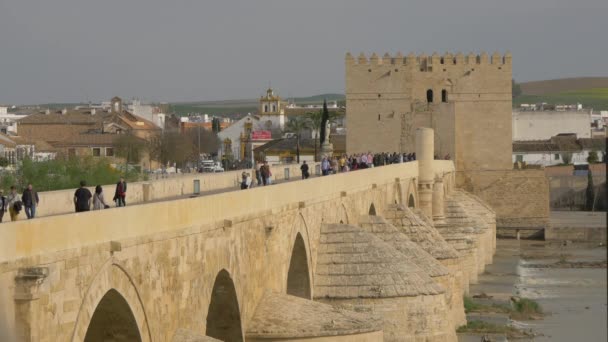 Roman Bridge Calahorra Tower — Vídeo de stock