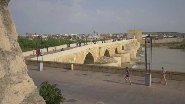 Roman Bridge Guadalquivir River — Stock video