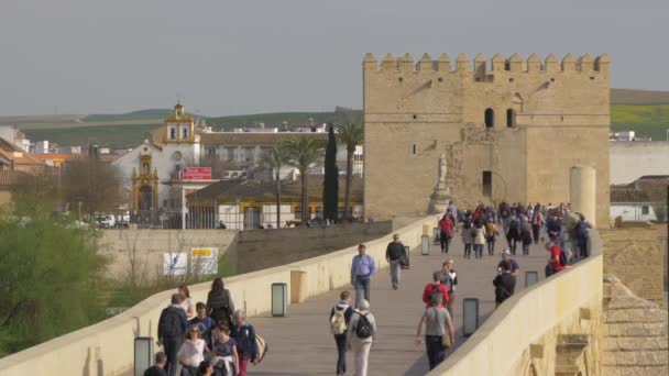Gente Caminando Puente Romano — Vídeo de stock