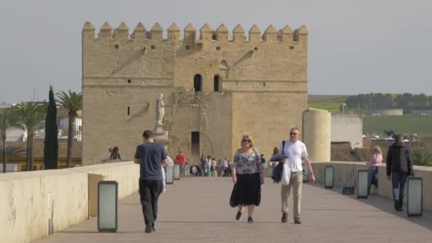 Calahorra Tower Och Den Romerska Bron — Stockvideo