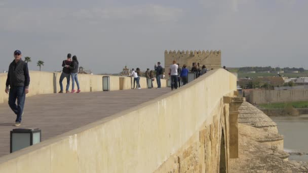 Calahorra Tower Bridge Southern End — Vídeo de stock