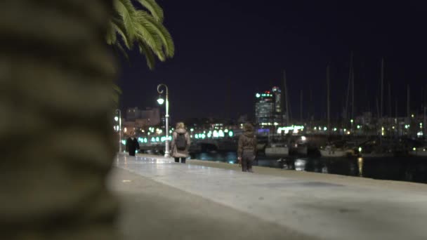 Front Mer Nuit — Video