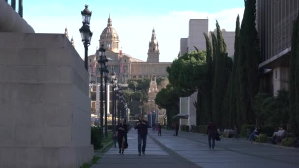 Callejón Cerca Del Palacio Nacional Barcelona — Vídeo de stock