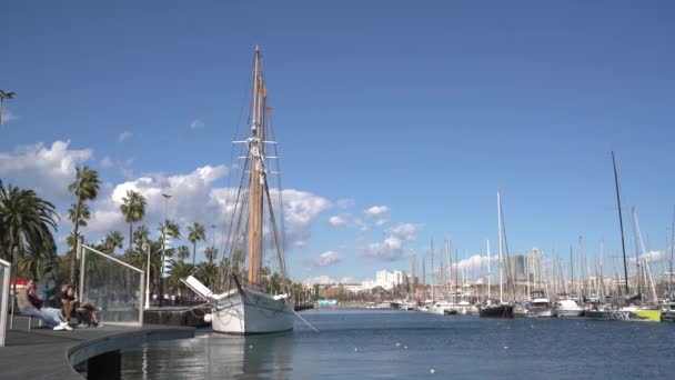 Vista Porto Com Barcos — Vídeo de Stock