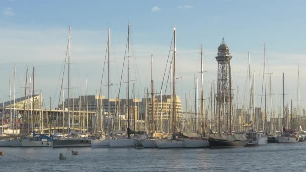 Bateaux Avec Mâts Dans Port — Video