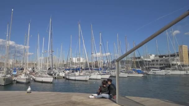 Bateaux Dans Marina — Video