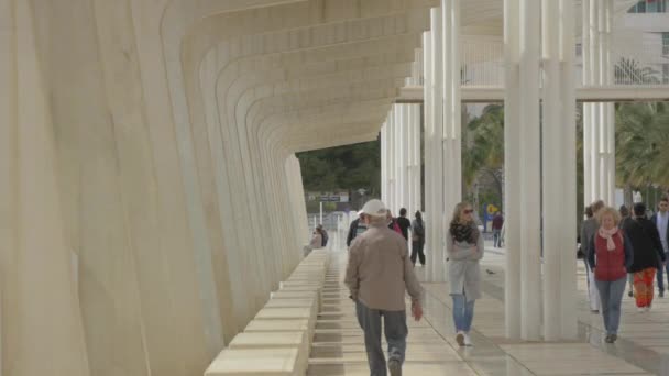 Caminando Por Paseo Del Muelle Uno — Vídeo de stock