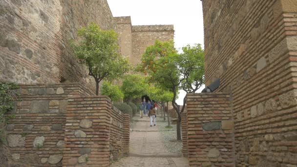 Туристы Посещающие Руины Испания — стоковое видео
