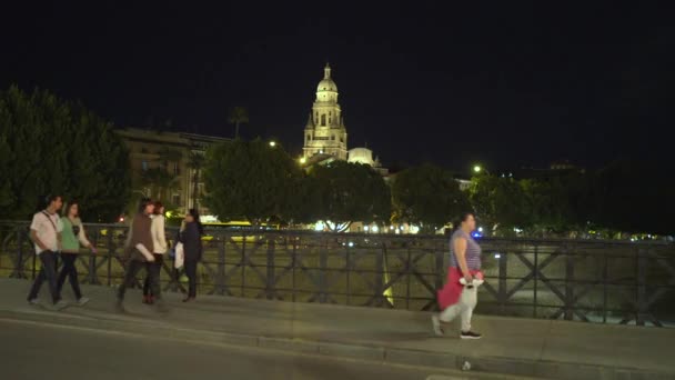 Kathedraal Toren Gezien Vanaf Puente Viejo — Stockvideo