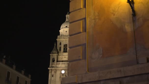 Kathedraal Van Saint Mary Gezien Achter Een Muur — Stockvideo