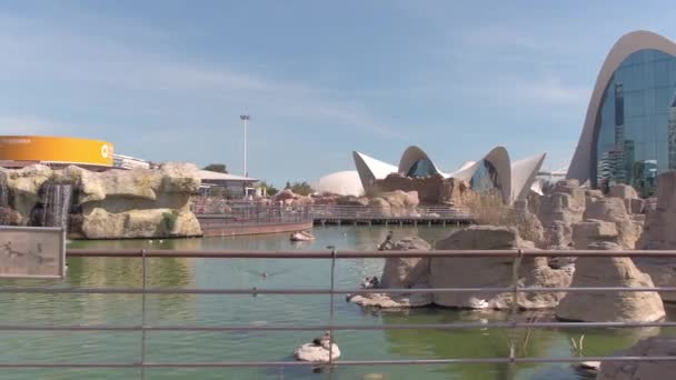 Danau Kota Seni Dan Ilmu Kompleks — Stok Video