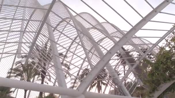 Palmy Umbracle — Stock video