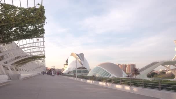 Museos Ciudad Las Artes Las Ciencias — Vídeos de Stock