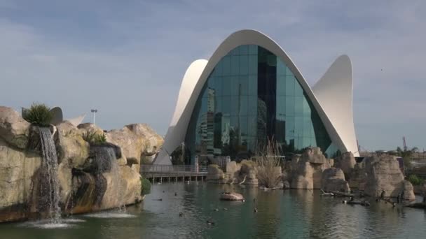 Oceanográfico Ciudad Las Artes Las Ciencias — Vídeos de Stock