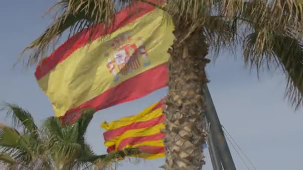 Flags Waving Palm Trees — Stock video