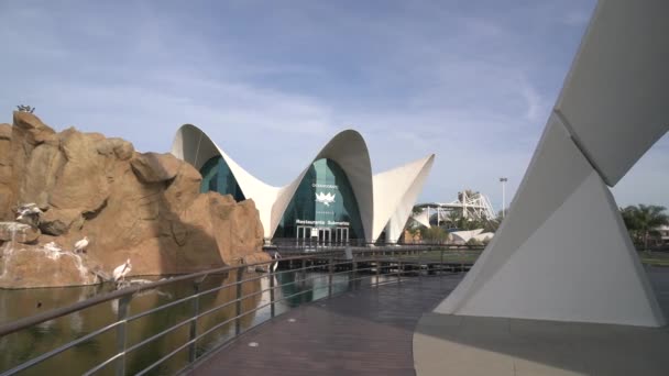 Oceanographic Valencia Spanyol — Stok Video