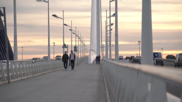橋の歩道 — ストック動画