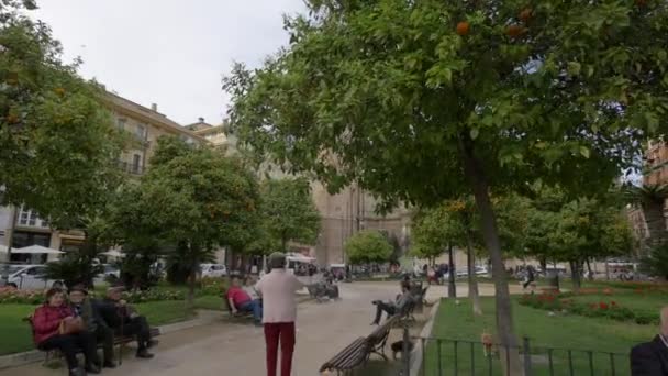 Turistas Relaxando Plaza Reina — Vídeo de Stock