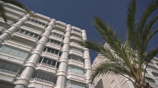 Binaların Yakınındaki Palmiye Ağaçlarının Alçak Açılı Görüntüsü — Stok video