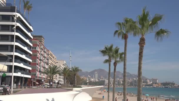 Buildings Palm Trees Promenade — Stock Video