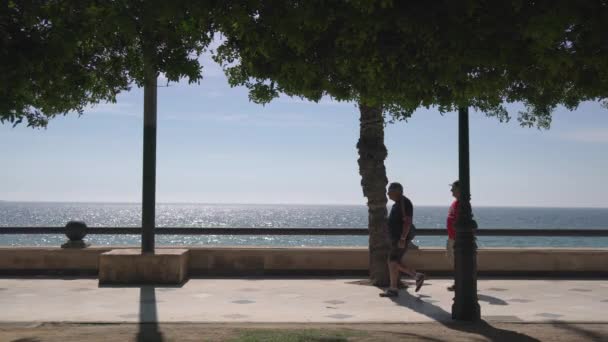 Gente Caminando Paseo Marítimo — Vídeo de stock