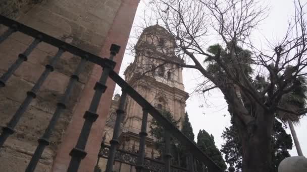 Torre Cthedral Málaga — Vídeo de Stock