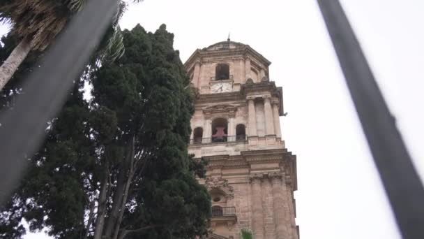 マラガ大聖堂の塔の低角度 — ストック動画